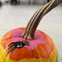 pumpkin spider